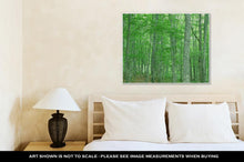 Load image into Gallery viewer, Gallery Wrapped Canvas, Green Forest Nature Landscape